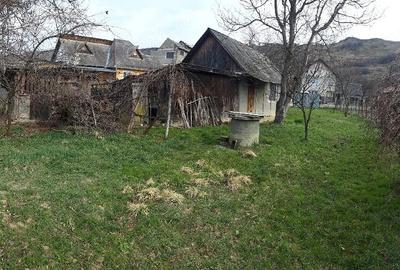 Teren de 3000 mp, în Dumbrăvița - 7