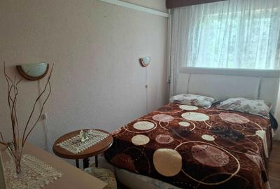 Apartament cu 3 camere decomandat în Paltiniș - 4