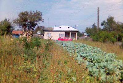 Casă cu Teren 3600 Mp în Slătioarele - 5