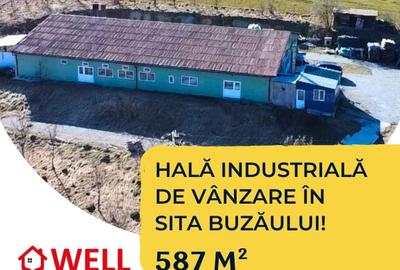 Spațiu industrial, de 587 mp, în Sita Buzăului
