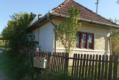Casă cu 2 camere în Mura Mare - 1
