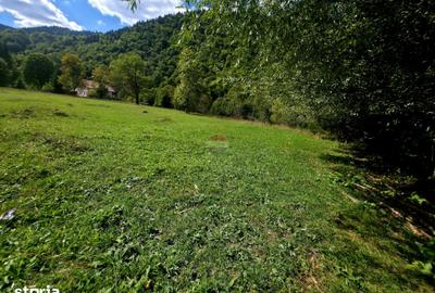 Teren de 1113 mp, în Tarcău