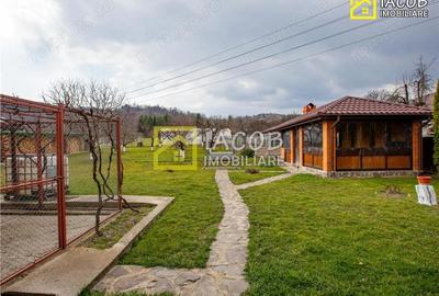 Casă cu 4 camere cu Teren 3762 Mp în Coman - 14