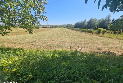 Teren de 5000 mp, în Cașin