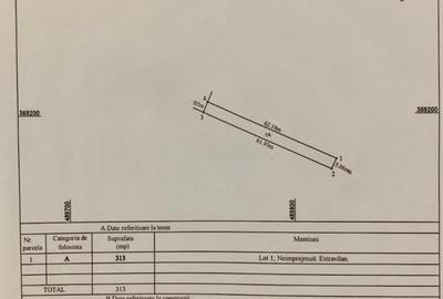 Teren agricol extravilan de 2388 mp, în Albota - 3