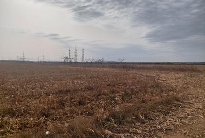 Teren Construcții intravilan de 9844 mp, în Dumbrava - 7