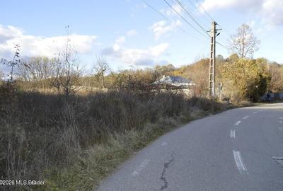Teren Construcții intravilan de 13742 mp, în Băbana - 6