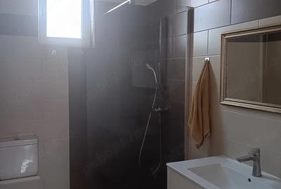 Casă cu Teren 500 Mp în Sânandrei