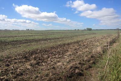 Teren Construcții intravilan de 500 mp, în Vest - 5