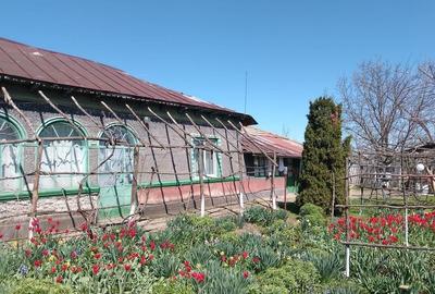 Casă cu 4 camere în Valea Stânii