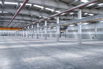 Spațiu industrial, de 27,174 mp, în Chișoda - 4