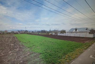 Teren de 1000 mp, în Zănești
