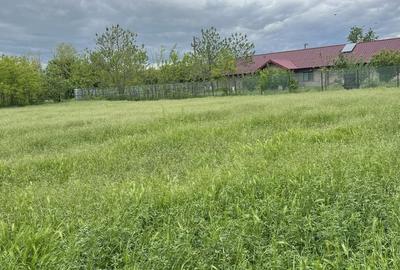 Spațiu comercial, în Ileana - 4