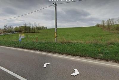 Teren Construcții intravilan de 10354 mp, în Bunești - 2