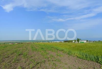 Teren agricol extravilan de 5000 mp, în Șura Mică - 2