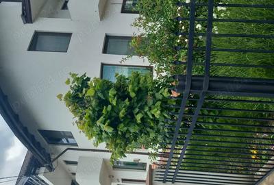 Casă cu 6 camere cu Teren 500 Mp în Vălenii de Munte - 4
