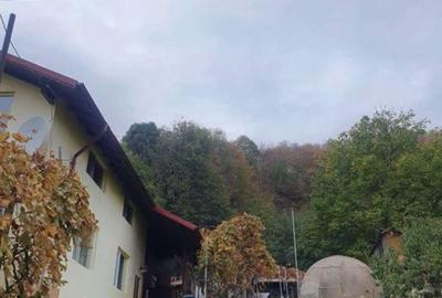Casă cu 2 camere cu Teren 1500 Mp în Cornu - 8