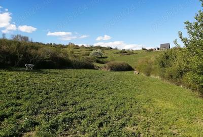 Teren de 4100 mp, în Ampoița - 4