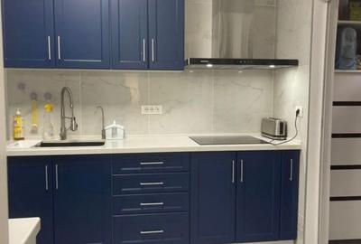 Casă cu 6 camere cu Teren 1745 Mp în Aradul Nou - 2
