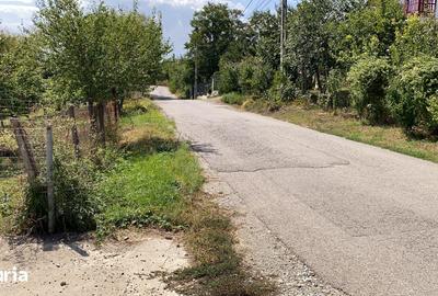 Teren de 2000 mp, în Roșia