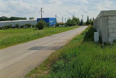 Teren de 3000 mp, în Ciolpani - 4