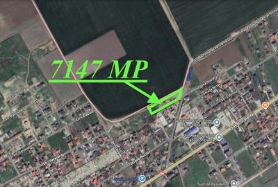 Teren Construcții intravilan de 7147 mp, în Cumpăna - 2