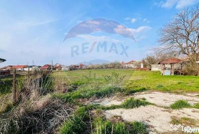 Casă cu 4 camere cu Teren 1367 Mp în Sântandrei
