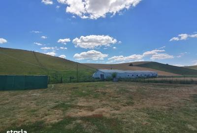 Casă cu 2 camere cu Teren 7000 Mp în Central