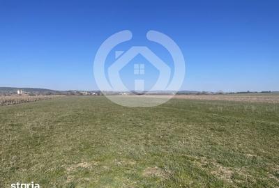 Teren de 11682 mp, în Cristian - 1