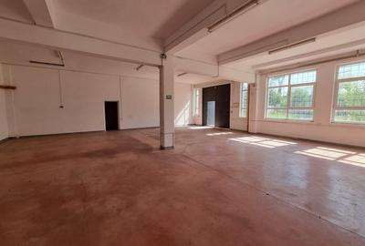 Spațiu industrial, de 5,563 mp, în Metalurgie