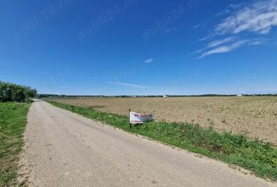 Teren de 500 mp, în Siliștea Snagovului - 7