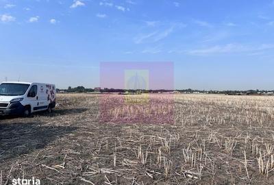 Teren de 500 mp, în Clinceni