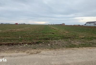 Teren de 5800 mp, în Adunații-Copăceni - 1