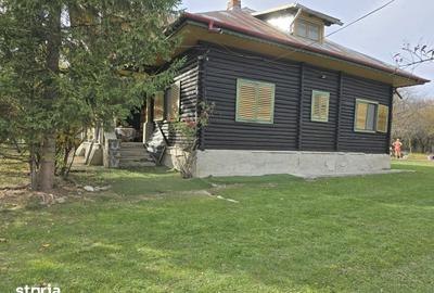 Casă cu 7 camere cu Teren 3800 Mp în Central - 18
