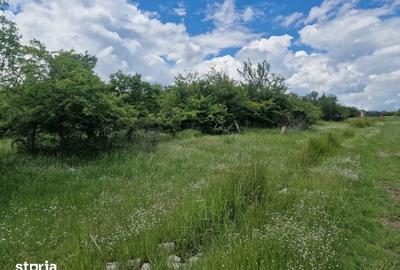Teren de 3006 mp, în Mărășești - 8