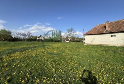 Teren Construcții intravilan de 9414 mp, în Băcel - 6