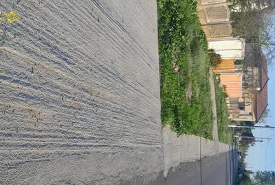 Casă cu 3 camere în Băbiciu - 2