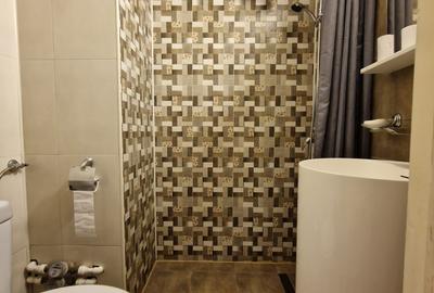 Apartament cu 2 camere semidecomandat în Romană - 8