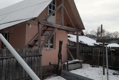 Casă cu 4 camere în Vânători - 1