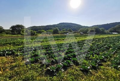 Teren agricol extravilan de 7500 mp, în Șelimbăr - 2