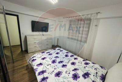 Apartament cu 2 camere decomandat, mobilat în Brazda lui Novac - 4