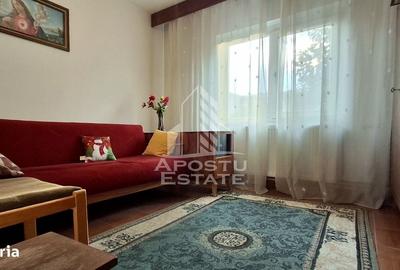 Apartament cu 2 camere semidecomandat în Micălaca
