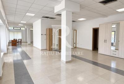 Spațiu comercial, de 391 mp, în Rogerius