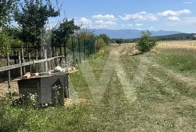 Teren de 720 mp, în Central