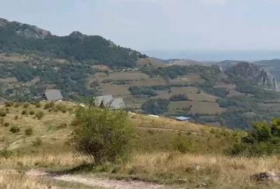 Teren de 600 mp, în Central