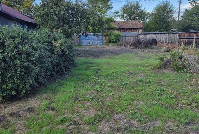 Casă cu 5 camere cu Teren 1100 Mp în Colceag