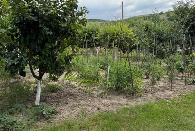Casă cu 4 camere în Racovițeni