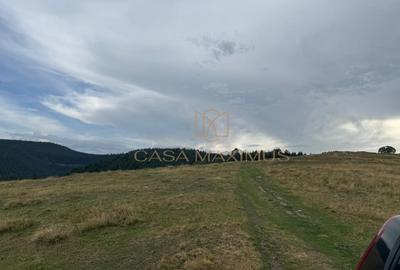 Teren extravilan de 14526 mp, în Rășinari - 6