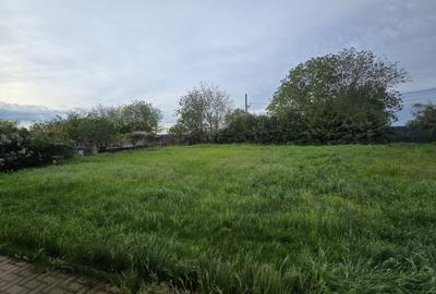 Teren Construcții intravilan de 6500 mp, în Centură - 6