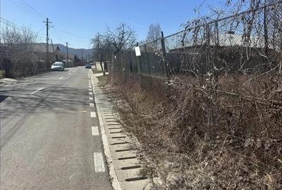 Teren de 600 mp, în Bănești